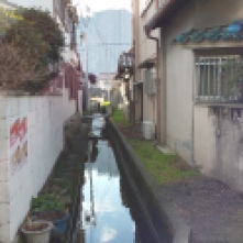 A quiet, small path of water in the morning reflecting the city on its surface.